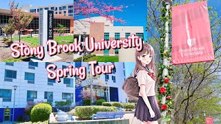 Stony Brook University Campus Tour my favorite places on campus [upl. by Melitta]