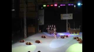 Showtanzgruppe Surprise aus Coswig im Bundesfinale der TuJuStars 2012 [upl. by Theodosia]