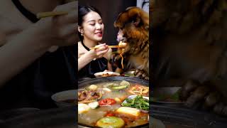 Let’s eat hotpot Isnt the monkey so cute everyone food [upl. by Isherwood]