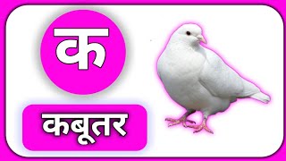 क से कबूतर ख से खरगोश ग से गमला Hindi varnamala pictures and videos song [upl. by Xxam316]