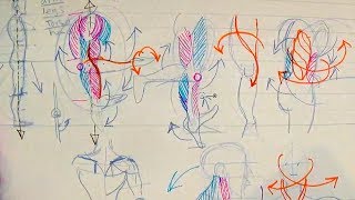 How to Draw Human Anatomy Part 1  Beginner Introduction [upl. by Rhianna]