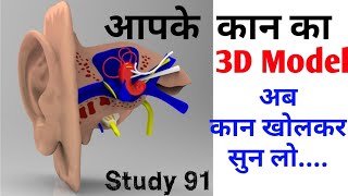 Ear 3D mode science biology science video class Study 91 Nitin sir [upl. by Akinyt]