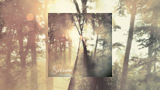 Cloudkicker  Subsume Full Album  AmbientInstrumental Metal [upl. by Berl]