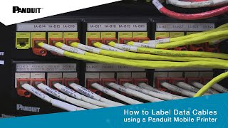 How to Label Data Cables using Panduit Mobile Printer [upl. by Ietta]