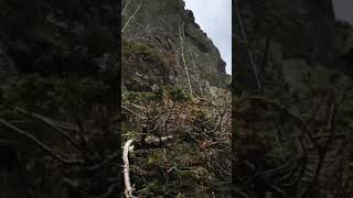 Golden Slipper Second pitch Pavey Ark Lake District rock climbing [upl. by Tali198]