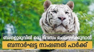 Bannerghatta National Park Bangalore  What will happen if you go there on a weekend [upl. by Olyhs]