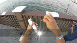 Clearwater Beach Fishing Pier on Floridas West Coast Whiting and Silver Trout GoPro [upl. by Jill]