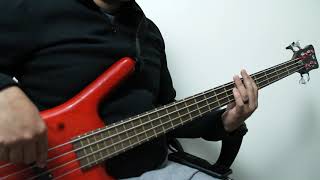 Resal Bass  Mr Clay by Bamboo Bass Cover [upl. by Novert]