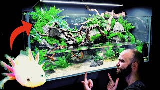 💚 Huge Natural 4ft Aqua Terrarium  Paludarium  Planted Tank Rehoming Pancho My Axolotl How To [upl. by Elvira]