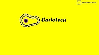 Carioteca [upl. by Zaid]