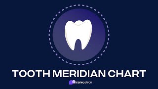 Tooth Meridian Chart [upl. by Assened]