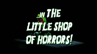 Little Shop of Horrors at Cygnet Theatre [upl. by Bibah]