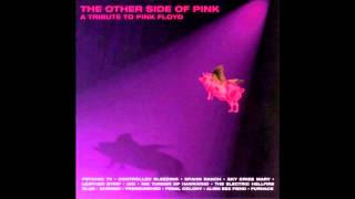 Chrome  Pigs On The Wing Pink Floyd Cover [upl. by Gaskin]