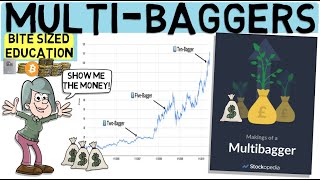 Finding Growth Stocks That Multiply Multibagger Study by Stockopedia [upl. by Kilian589]