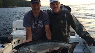 Chinook Salmon  Nootka Sound BC [upl. by Kippie459]