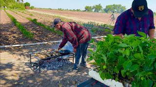 POLLO ASADO CON EL TOQUE PICOSO TE VA A ENCANTAR  RUTA LA NUEVE [upl. by Onitsirc]