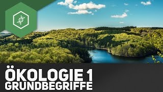 Grundbegriffe der Ökologie  Ökologie 1 [upl. by Ruzich3]