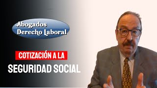 Cotizaciones a la Seguridad Social [upl. by Yelsha250]