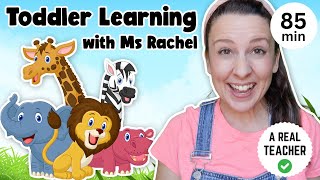 Toddler Learning with Ms Rachel  Learn Zoo Animals  Kids Songs  Educational Videos for Toddlers [upl. by Nutter]