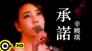 辛曉琪 Winnie Hsin【承諾 Promise】Official Music Video [upl. by Mcgruter]