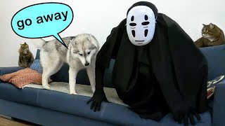 My Dogs Were Scared Of The Monster From the Closet Funny Dog Prank [upl. by Elaynad]