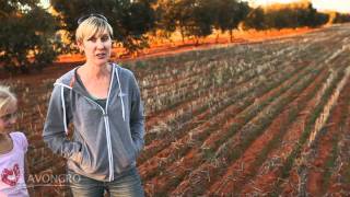 Western Australian tree farmers stories  Andrew and Suzi Sprigg of Wialki [upl. by Aime]