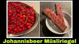 Johannisbeeren Müsliriegel Rezept  Johannisbeerriegel selber machen  Selbstversorgung Trester [upl. by Eittam766]