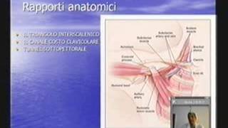 Circolo arterioso e venoso arti superiori [upl. by Madoc]