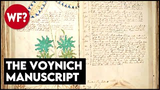 Voynich Manuscript Decoded  The Mysterious Book Finally Solved [upl. by Pfeffer]