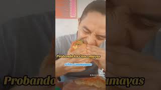 Guacamayas de Guanajuato  Barritas saludables Armando Videos [upl. by Avraham]