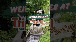 Weird rides at Tripsdrill Part 13  Baby Log Flume [upl. by Tecla622]