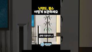 닌텐도 플스 이렇게 보관해보세요 프로자취러 게임패드거치대 컨트롤러거치대 [upl. by Naired]