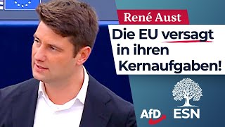 Die EU versagt in ihren Kernaufgaben – René Aust AfD [upl. by Ellertal]