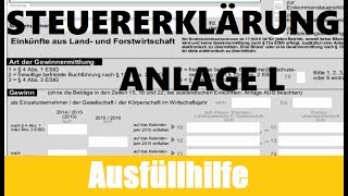 Anlage L ELSTER  ELSTER Tutorial  Steuererklärung selber machen [upl. by Diet]