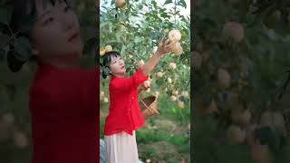 Fruit picking so satisfying to watch youtubeshorts youtube fruit fruitcarving [upl. by Ranson931]