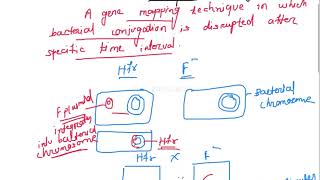 Gene mapping in bacteria  Interrupted mating problem  CSIR UGC NET exam  practice problems [upl. by Ellenar]