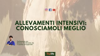 Indagini e campagne di Essere Animali cambiare gli allevamenti in Europa 02062023 [upl. by Nossila]