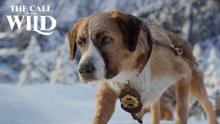 The Call of the Wild  New Lead Dog Clip [upl. by Dov]