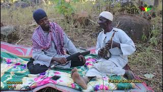 Taali et tiindi farba sadio hidjabou 3 [upl. by Oech]