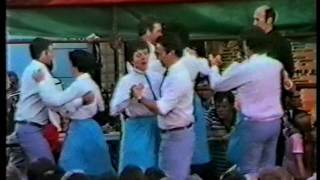 Granard Harp Festival 1984 part 4 [upl. by Nyhagen]