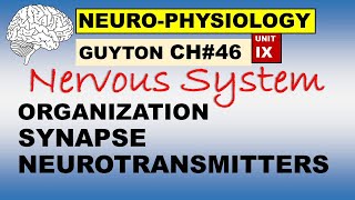 Ch46 Physiology Guyton  Neurophysiology  Organization  Synapses  Neurotransmitters [upl. by Ovida]