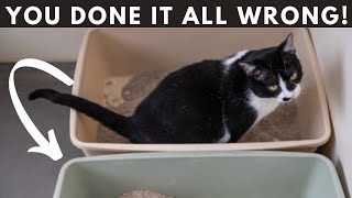 10 WORST Litter Box Mistakes Cat Owners Make [upl. by Studner]