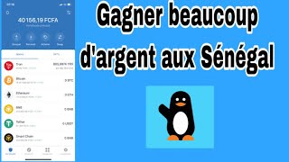 WolofGagner de l’argent avec cette opportunité preuve de paiement [upl. by Borszcz]