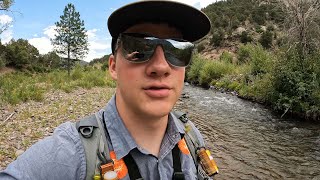 Exploring a New Creek loaded with Trout Fly fishing [upl. by Euqcaj]