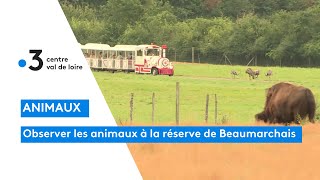 Touraine  la réserve Beaumarchais pour approcher au plus près des animaux [upl. by Lura]