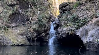 Stunning Potoroo Falls  Tapin tops National park [upl. by Azyl]