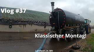 Vlog 37 Klassischer Montag Rindergülle für die BGA fahren [upl. by Enrique451]