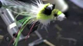 Tying a Dahlberg Diver  Part 4 [upl. by Julio]