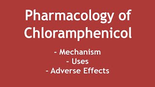 Pharmacology of Chloramphenicol  Mechanism Uses amp Adverse Effects ENGLISH  Dr Shikha Parmar [upl. by Wildee779]