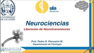 Liberación de Neurotransmisores [upl. by Conias370]